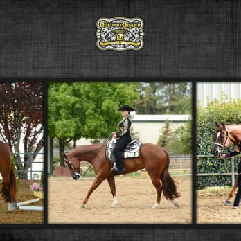 Lisa Luperini - Caliber Home Loans - Lisa is a avid equestrian and supports the American Quarter Horse Association. Ask her about the 30-year fixed Hobby Farm loan. - Mortgage Brokers Near Me - Folsom, California Lisa Luperini - Caliber Home Loans - Lisa is a avid equestrian and supports the American Quarter Horse Association. Ask her about the 30-year fixed Hobby Farm loan. - Mortgage Brokers Near Me - Folsom, California