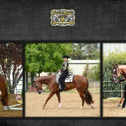 Lisa Luperini - Caliber Home Loans - Lisa is a avid equestrian and supports  the American Quarter Horse Association. Ask her about the 30-year fixed Hobby Farm loan.
