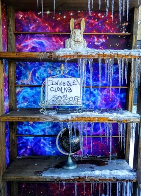 White Rabbit Books & Curiosities by null