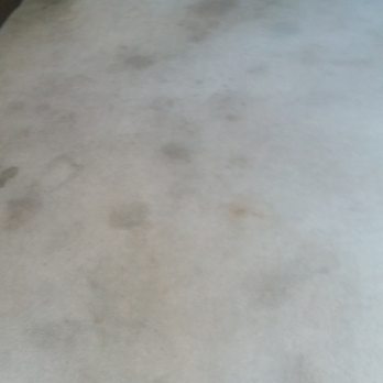 Tabones Premier Carpet Cleaning - Heavily dog stained after competitor steam cleaned - Carpet Cleaning Near Me Tabones Premier Carpet Cleaning - Heavily dog stained after competitor steam cleaned - Carpet Cleaning Near Me