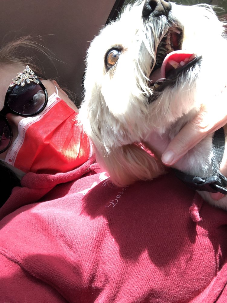 ENCHANTED PET GROOMING Updated October 2024 12 Photos 633 Jackson