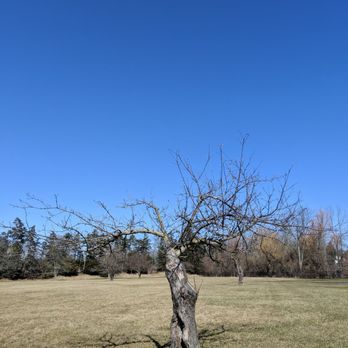 Amherst State Park - Dog Parks Near Me - Buffalo, New York