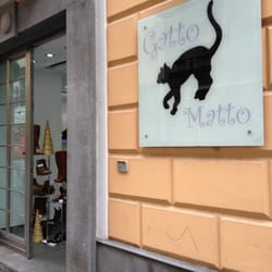 Gatto Matto