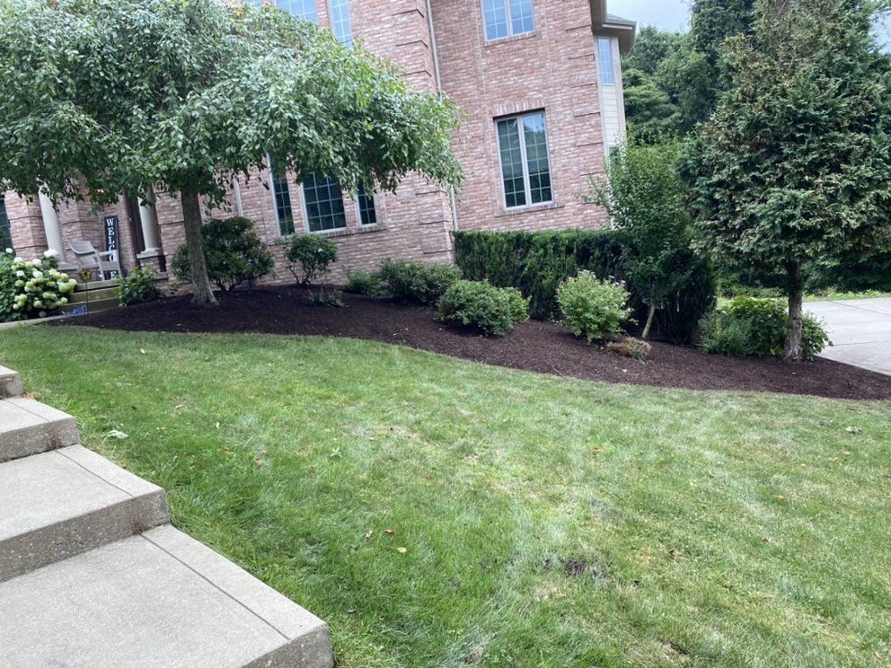 F AND T’S TREE REMOVAL/LANDSCAPING Updated October 2024 Gibsonia