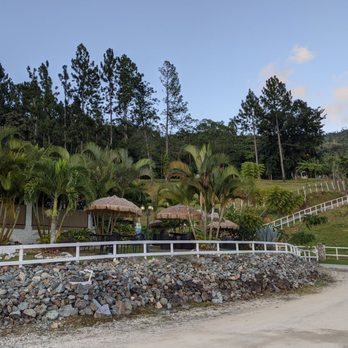 Hacienda Maribo - Argentine Near Me - Adjuntas, Puerto Rico Hacienda Maribo - Argentine Near Me - Adjuntas, Puerto Rico