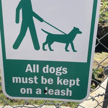 Topanga Dog Resort - Pet Training Near Me - Topanga, California Topanga Dog Resort - Pet Training Near Me - Topanga, California