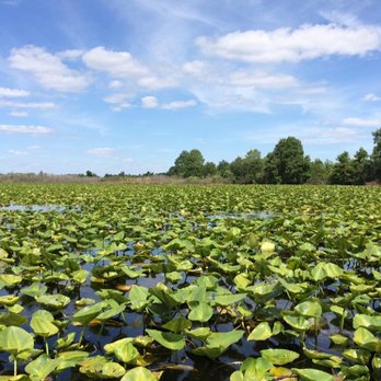 Big Toho Airboat Rides - Tours Near Me - Kissimmee, Florida Big Toho Airboat Rides - Tours Near Me - Kissimmee, Florida