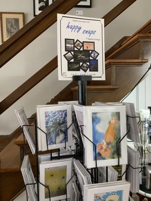 Downtown Artists Co-Op and Gallery by null
