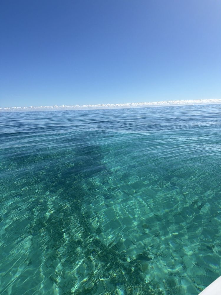 Captain Stewy's Charters Logo