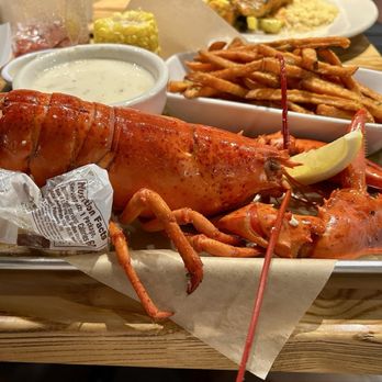 Side Street Cafe - Steamed Lobster Meal - American Near Me - Bar Harbor, Maine Side Street Cafe - Steamed Lobster Meal - American Near Me - Bar Harbor, Maine