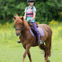 Photo of Chelmsford Equestrian Centre