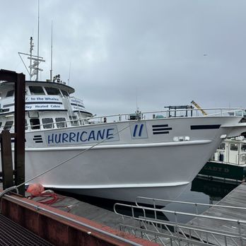 Cape Ann Whale Watch - Boat Charters Near Me - Gloucester, Massachusetts