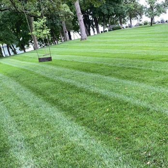 Aubrey Hills - a green lawn with a bench in the middle - Lawn Services Near Me Aubrey Hills - a green lawn with a bench in the middle - Lawn Services Near Me