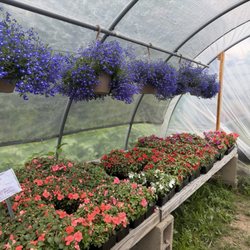 Kozlak's Discount Nursery
