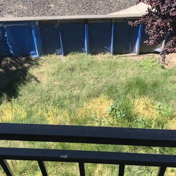 Bella Turf and Greens - Before - Artificial Turf Near Me - Roseville, California