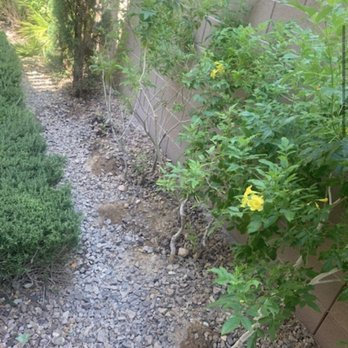 Affordable Lawn Maintenance - Landscaping Near Me