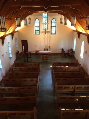 National Shrine of St. Thérèse by null