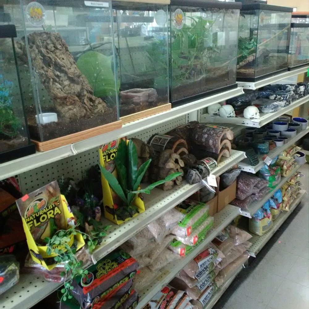 La Habra Pets - They have what you need for your reptiles! - Reptile Shops Near Me - La Habra, California La Habra Pets - They have what you need for your reptiles! - Reptile Shops Near Me - La Habra, California