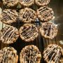 Photo of Pat’s Tastee Breads