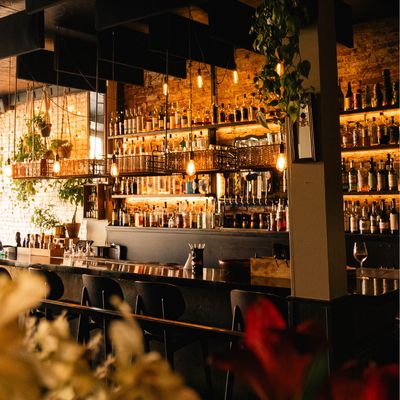 The Black Cypress by null