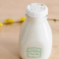 Fully Rooted - Raw vanilla bean hemp mylk made with local maple syrup provides omega 3's and 6's and 10 grams of protein per serving.
