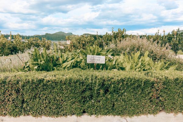 Craggy Range by null