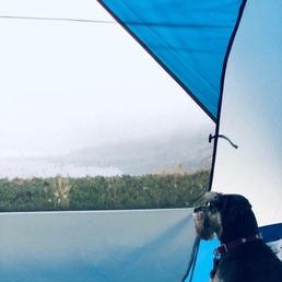Plumette enjoying the view. Plumette enjoying the view.