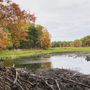 Photo of Gay City State Park