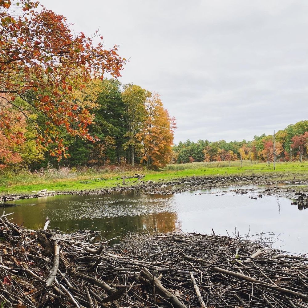 GAY CITY STATE PARK Updated September 2024 48 Photos & 12 Reviews