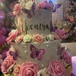 Nilda's Party Creations - Butterfly cake