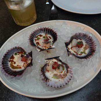 Bestia - Peruvian Scallop Crudo* - Italian Near Me - Los Angeles, California Bestia - Peruvian Scallop Crudo* - Italian Near Me - Los Angeles, California