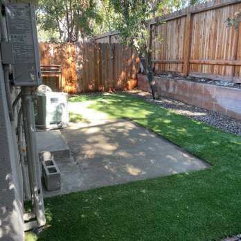 Bay Bloom - Backyard - Lawn Services Near Me