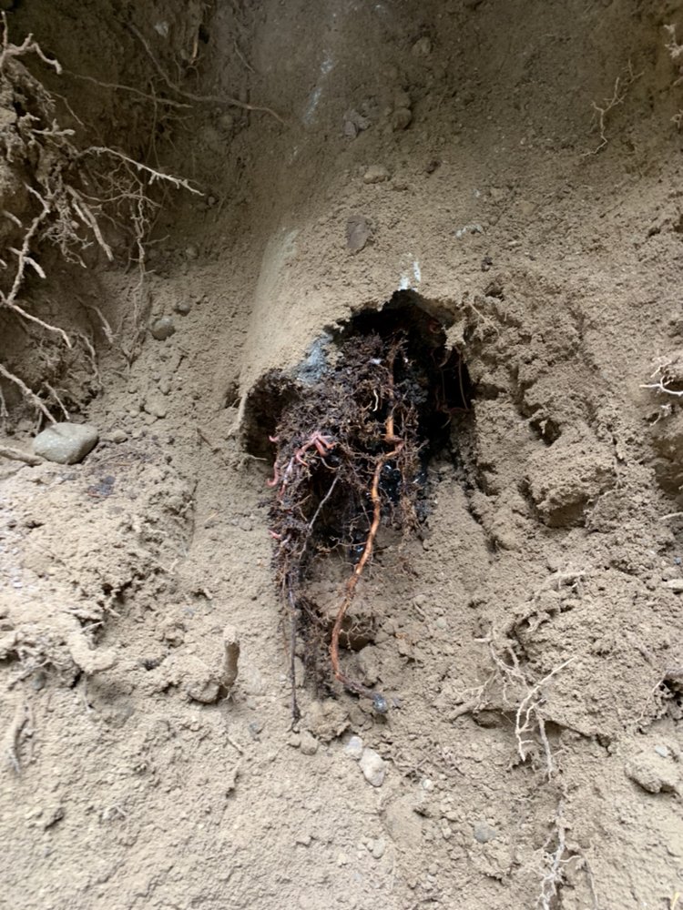 Slide of Limitless Sewer Solutions