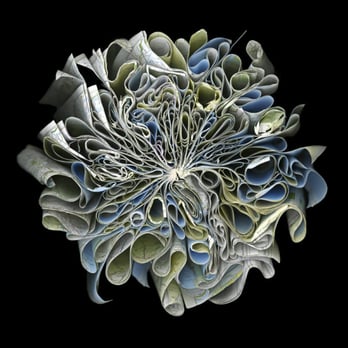 Bau-Xi Gallery - Cara Barer "Explorer" Edition of 9, archival pigment print - Art Galleries Near Me - Vancouver, British Columbia Bau-Xi Gallery - Cara Barer "Explorer" Edition of 9, archival pigment print - Art Galleries Near Me - Vancouver, British Columbia