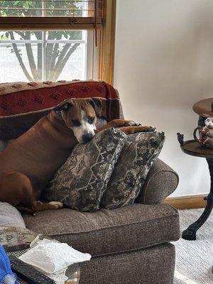 St. Paul Bagelry by null