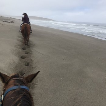 Five Brooks - Gorgeous day and great horses - Horseback Riding Near Me - Bodega Bay, California Five Brooks - Gorgeous day and great horses - Horseback Riding Near Me - Bodega Bay, California
