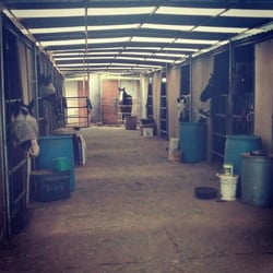 Hillside Training Stables - The horses greet me as I come in to clean their home