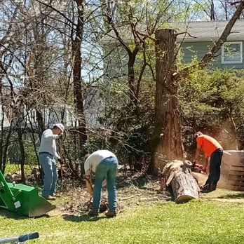 Ridgeview Tree Service - Tree Services Near Me - Lewiston, New York