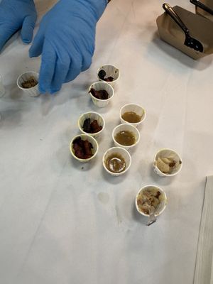 Fresh Thyme Market by null