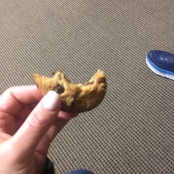 Nocturnal Cookies - Desserts Near Me - Albany, New York Nocturnal Cookies - Desserts Near Me - Albany, New York
