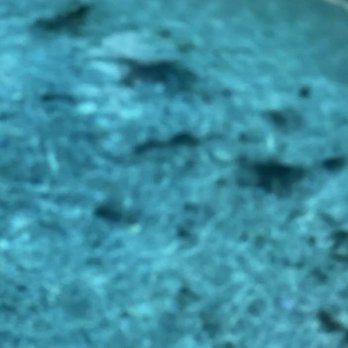 DCK Pool Cleaners - Black mold - Pool Cleaners Near Me