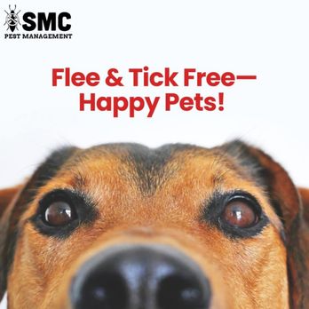 SMC Pest Management - Pest Control Near Me - Ocala, Florida SMC Pest Management - Pest Control Near Me - Ocala, Florida