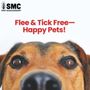 Photo of SMC Pest Management