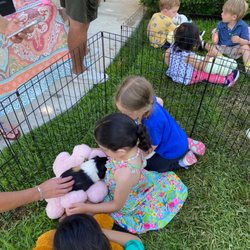 Meow Meow Meadows - Petting Zoo visit