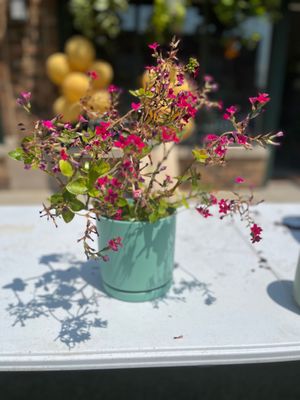 The Botanical Bar by null