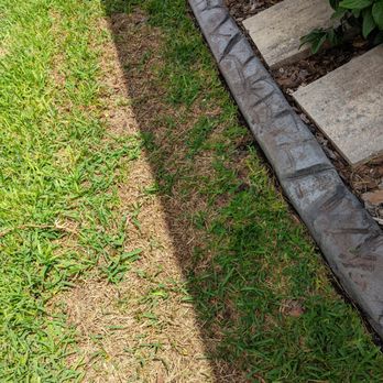 Brothers Pest Control - Brown spots and the only thing that's that can do is say I'll come back in 2 weeks - Pest Control Near Me - Land O'Lakes, Florida Brothers Pest Control - Brown spots and the only thing that's that can do is say I'll come back in 2 weeks - Pest Control Near Me - Land O'Lakes, Florida