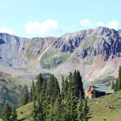 Opus Hut - Meadows of Wildflowers