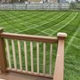Cincinnati Lawn Enforcement
