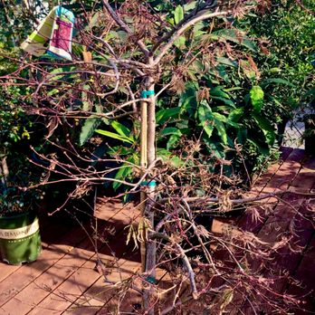 Pro Garden Supply - Nurseries & Gardening Near Me - Santa Barbara, California Pro Garden Supply - Nurseries & Gardening Near Me - Santa Barbara, California
