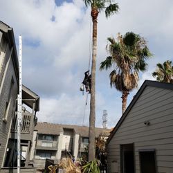 JP's Tree Service
